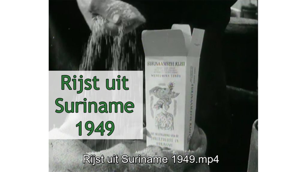 Rijst uit Suriname 1949