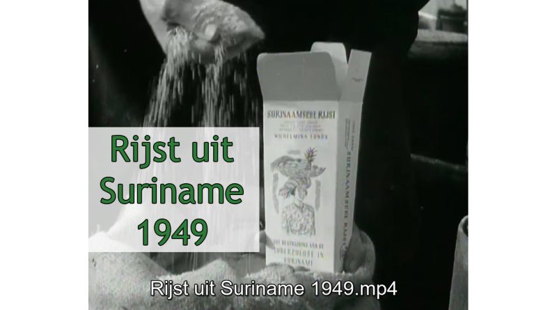 Rijst uit Suriname 1949